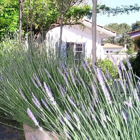 La Du Cap *